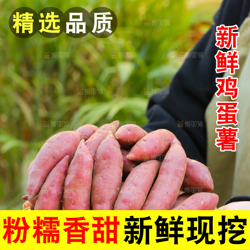 手里拿着小香薯
