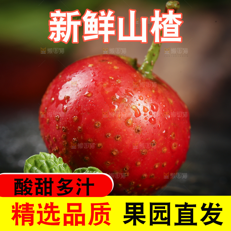 深底上的新鲜山楂