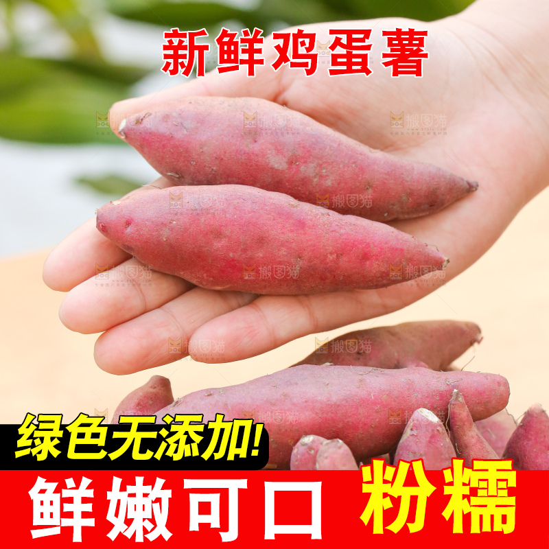 手里拿着小香薯