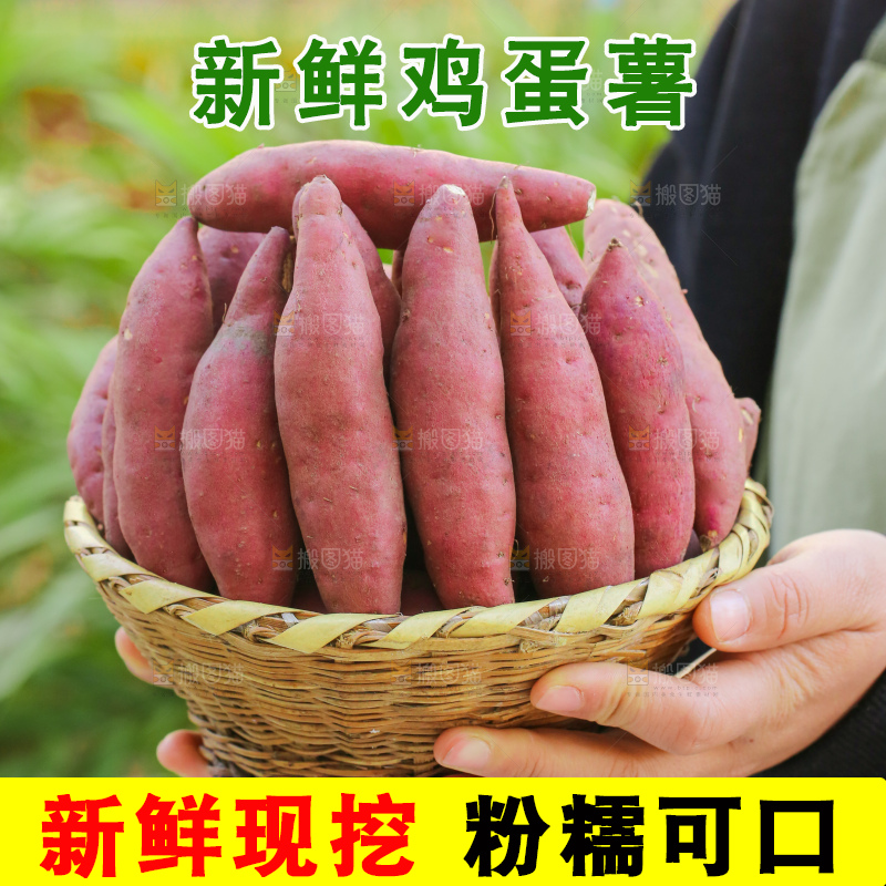手里拿着小香薯