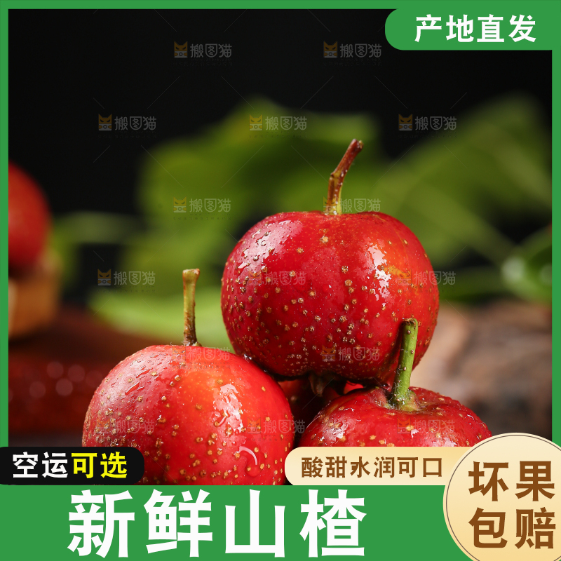 深底上的新鲜山楂