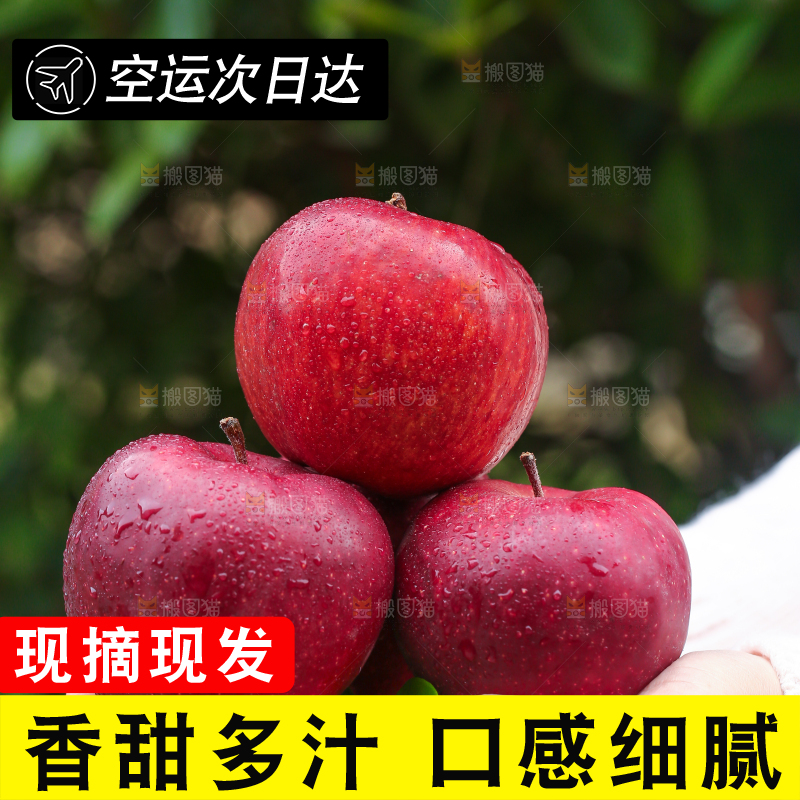 手里拿着花牛苹果