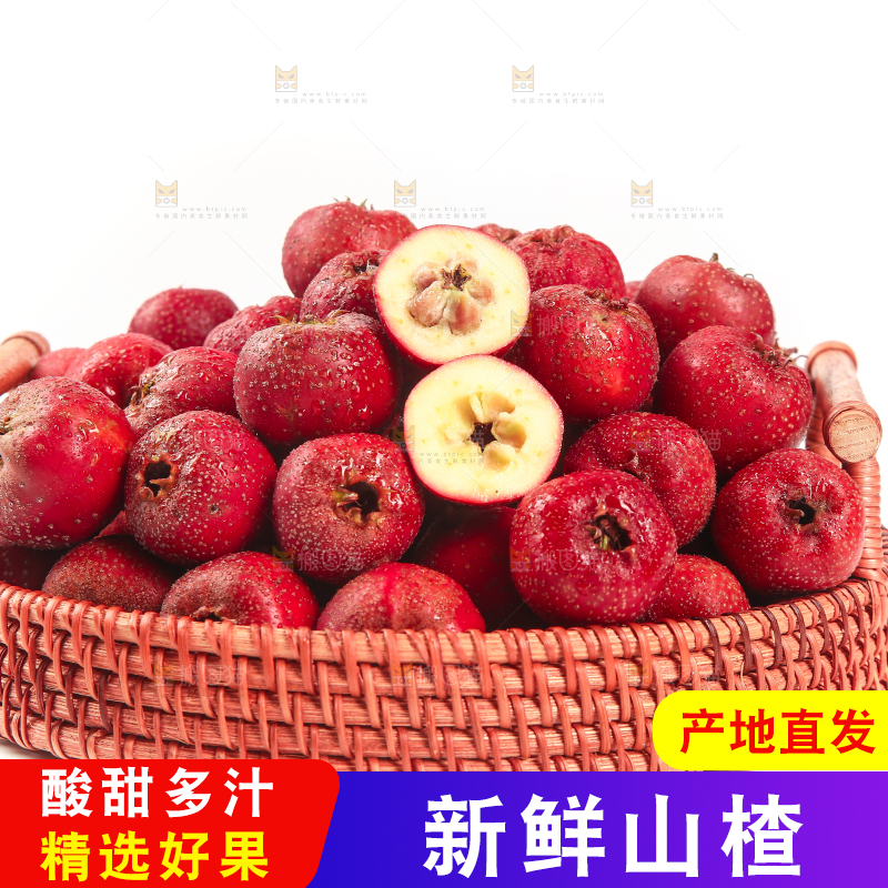 白底上的新鲜山楂