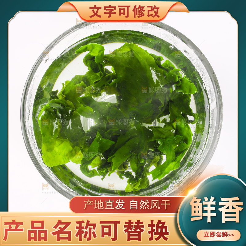 白底上的裙带菜