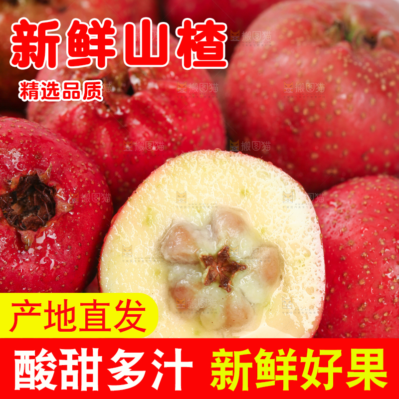 白底上的新鲜山楂