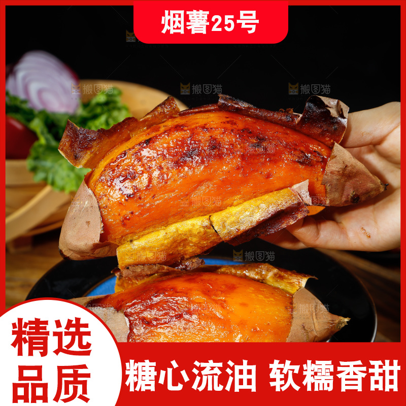 深底上的烟薯25号