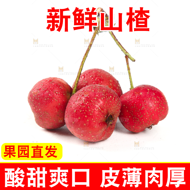 白底上的新鲜山楂