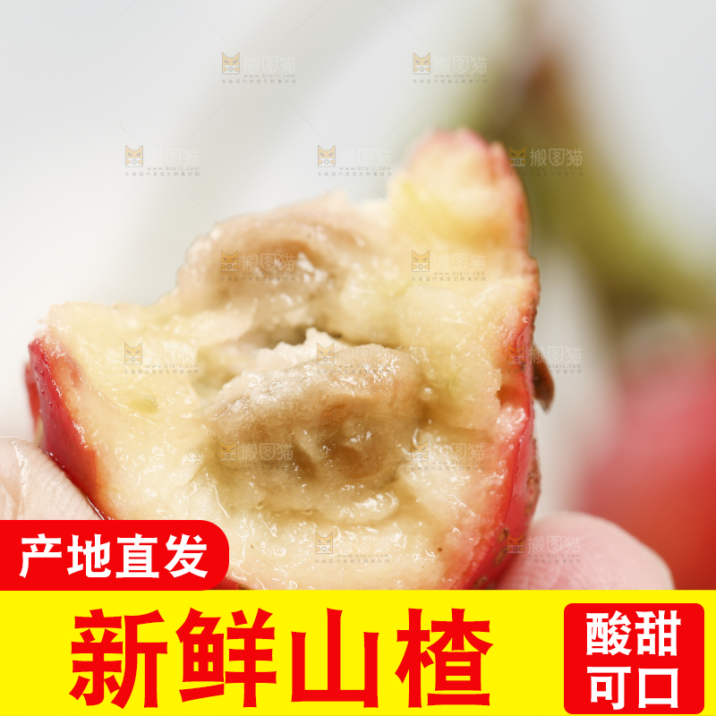 浅底上的新鲜山楂