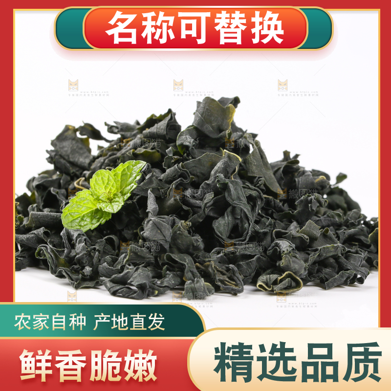 白底上的裙带菜