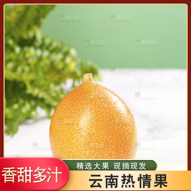 浅底上的热情果