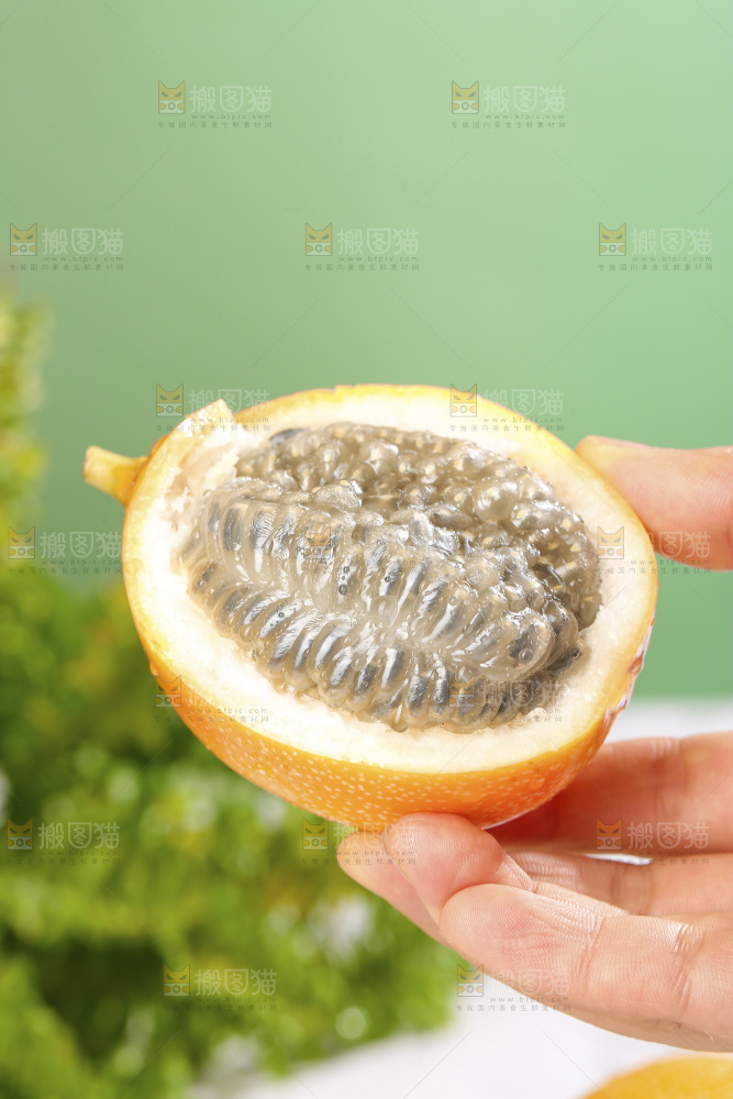 浅底上的热情果