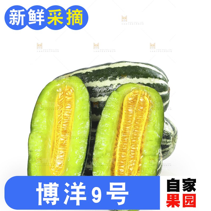 白底上的博洋9号