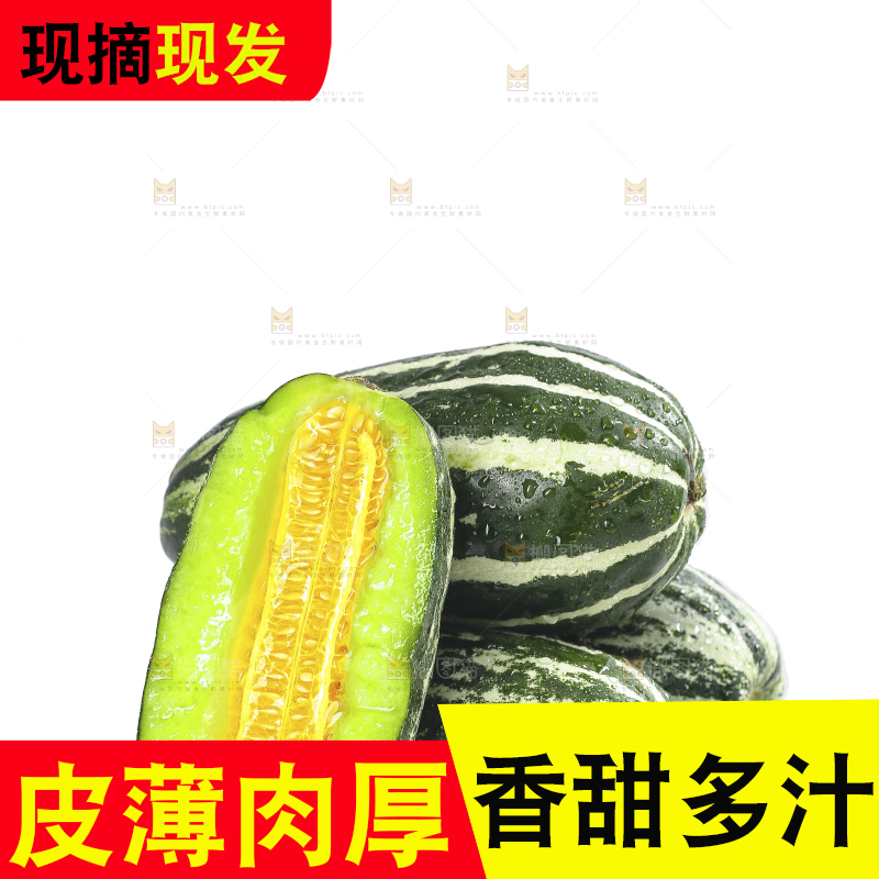 白底上的博洋9号
