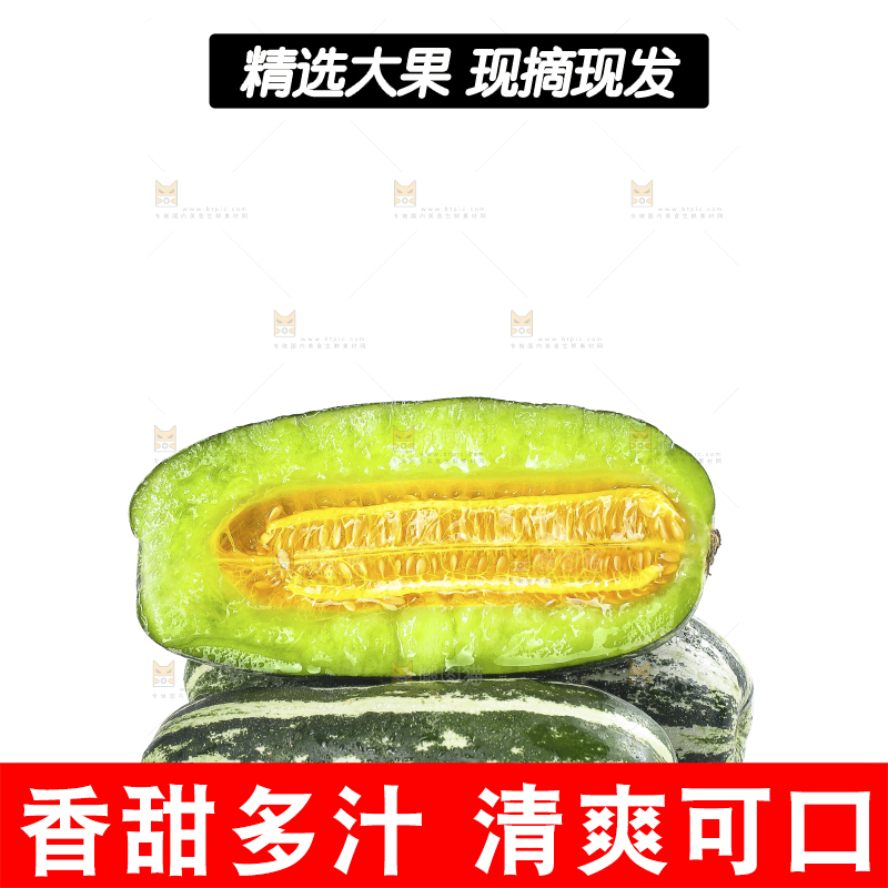 白底上的博洋9号