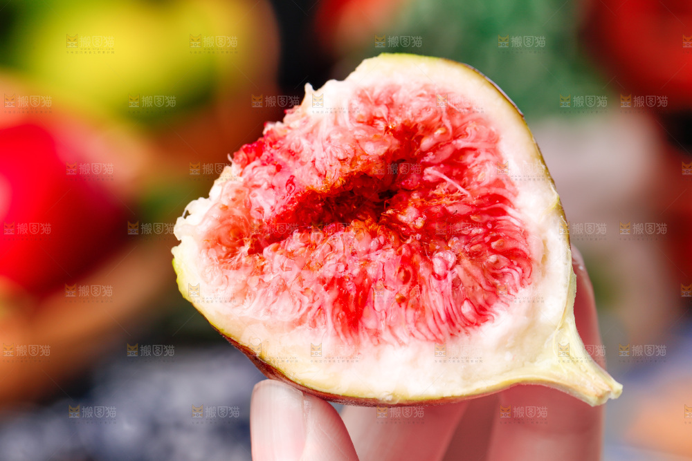 深底上的无花果