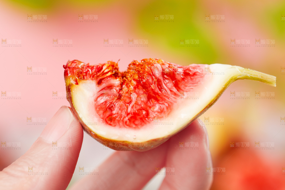 浅底上的无花果