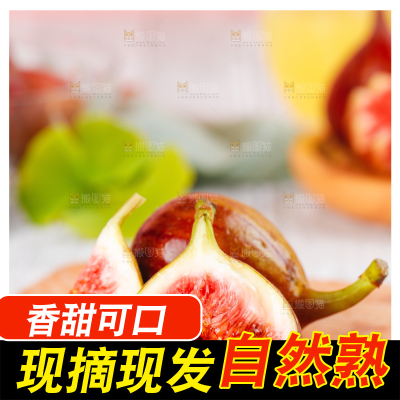 浅底上的无花果