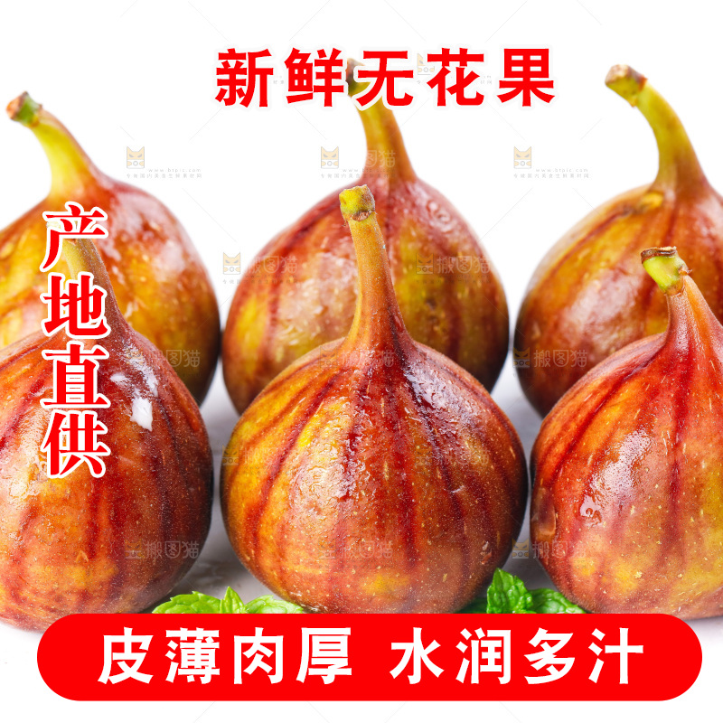 白底上的新鲜无花果
