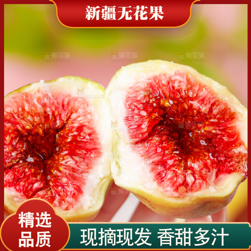 浅底上的无花果