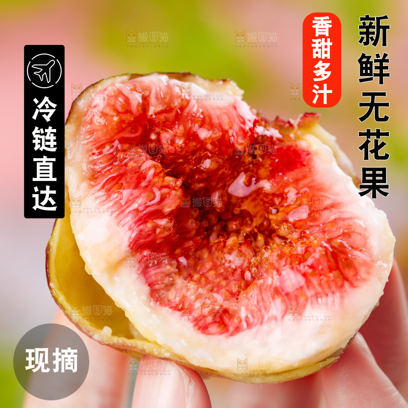浅底上的无花果