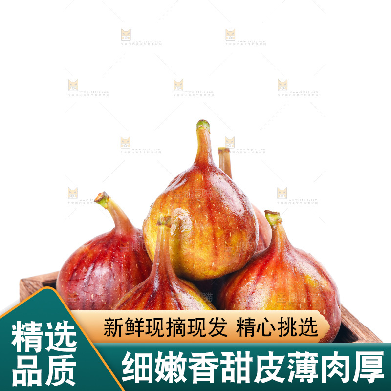 白底上的新鲜无花果