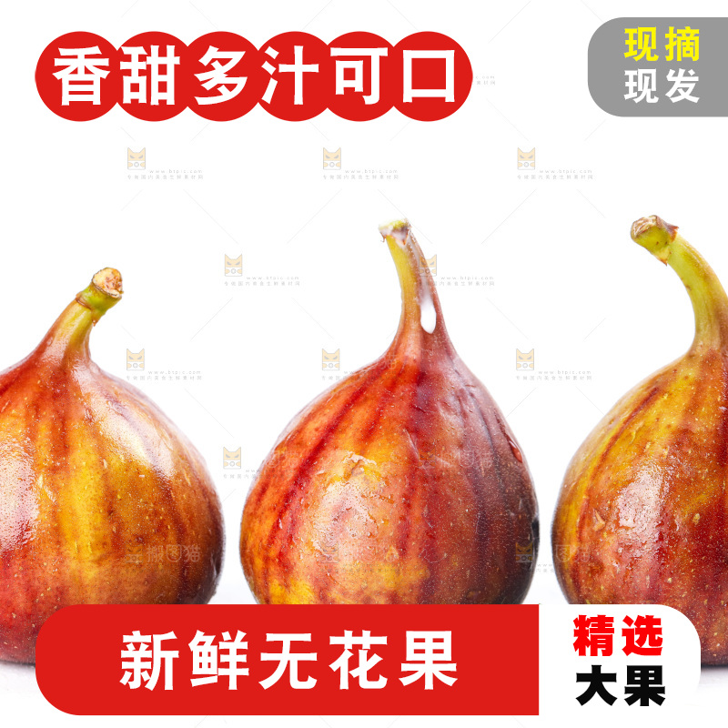 白底上的新鲜无花果