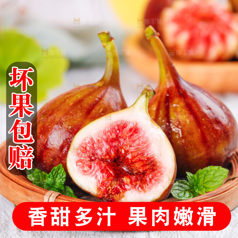 浅底上的无花果