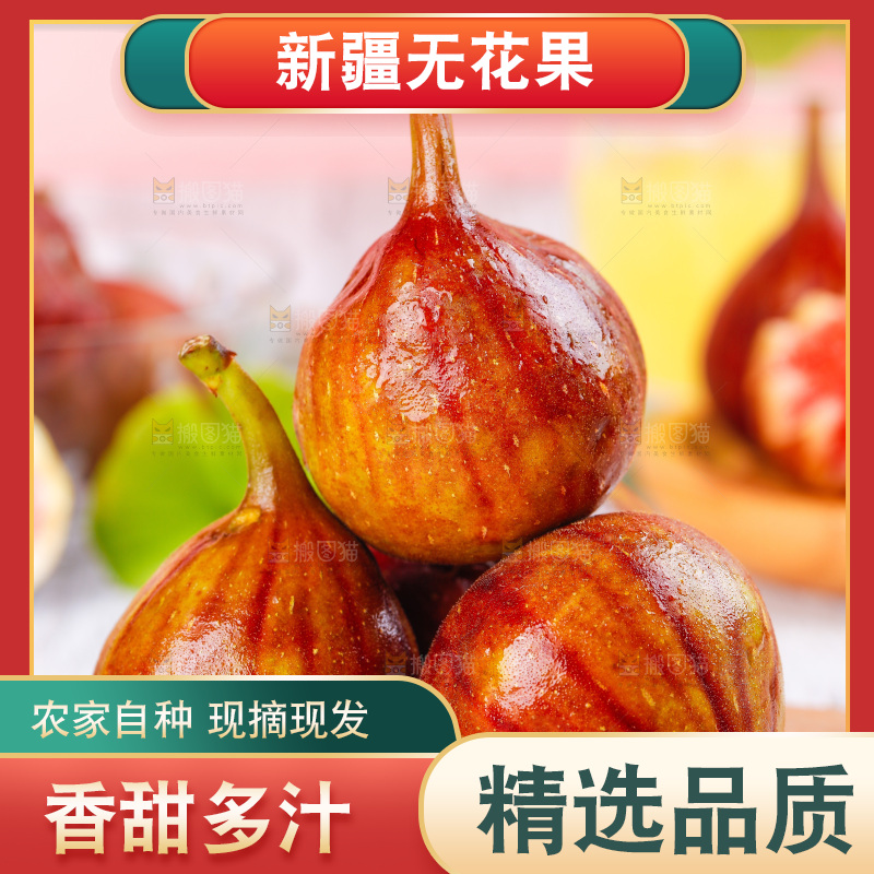 浅底上的无花果