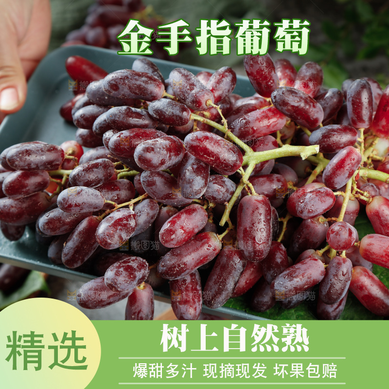 深底上的金手指葡萄