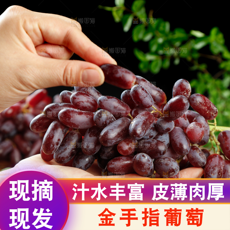 深底上的金手指葡萄