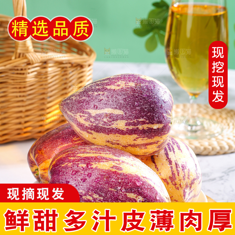 浅底上的民勤人参果