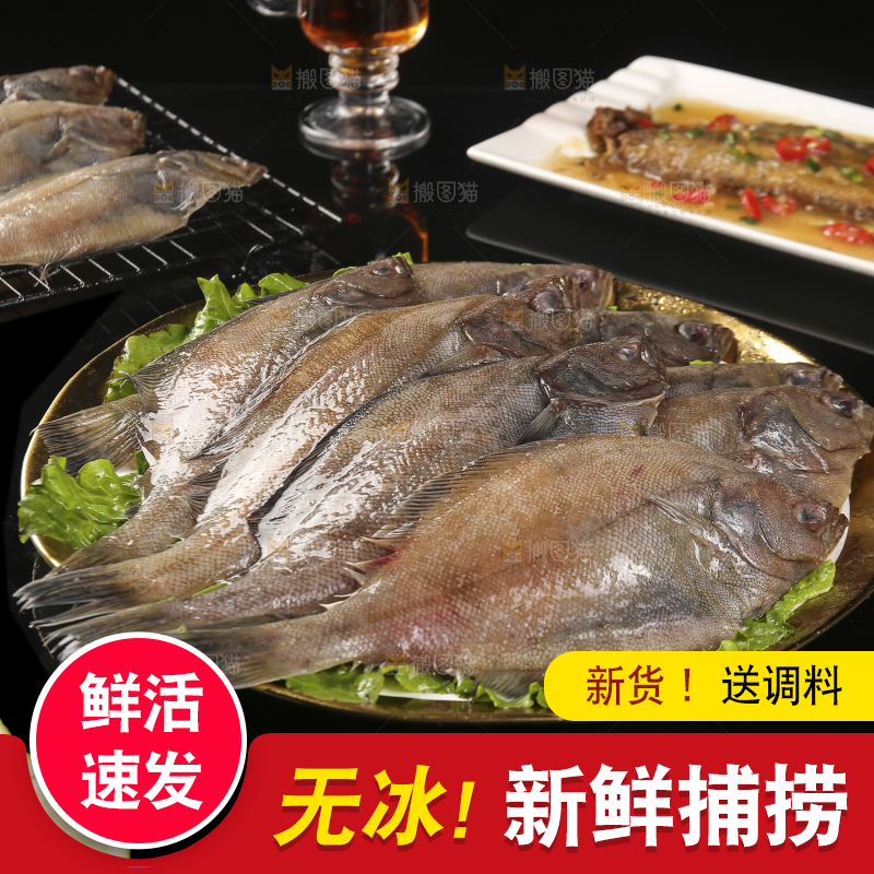 深底上的鲽鱼