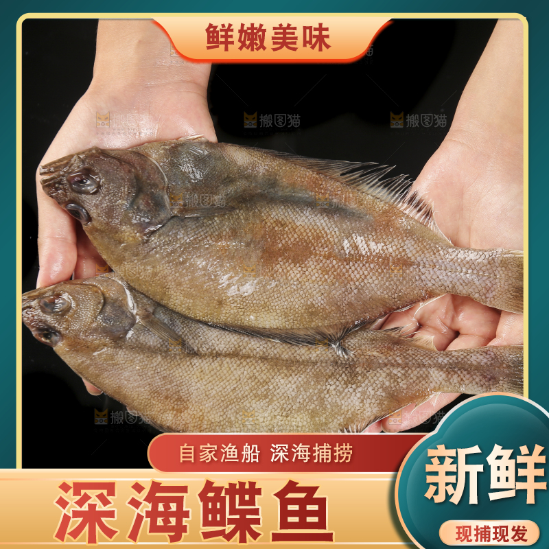 深底上的鲽鱼