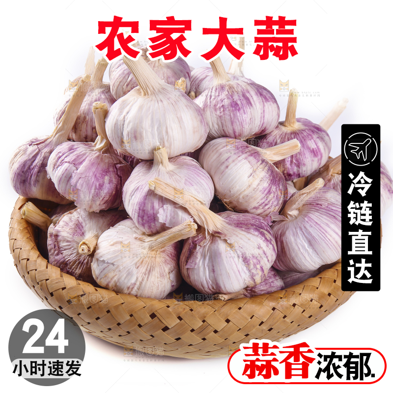 白底上的紫皮干大蒜