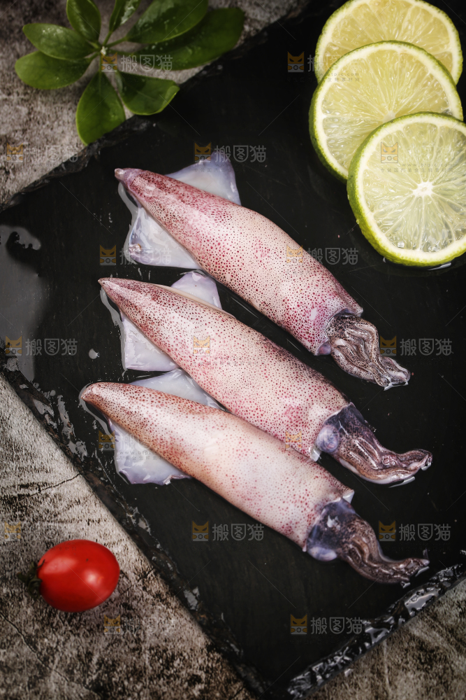 深底上的海兔