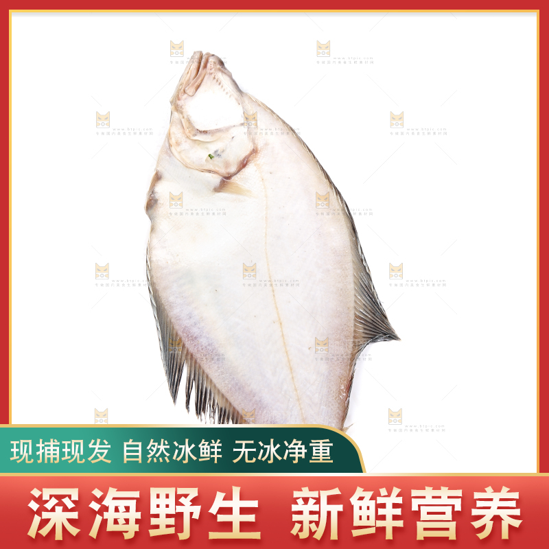 白底上的鲽鱼