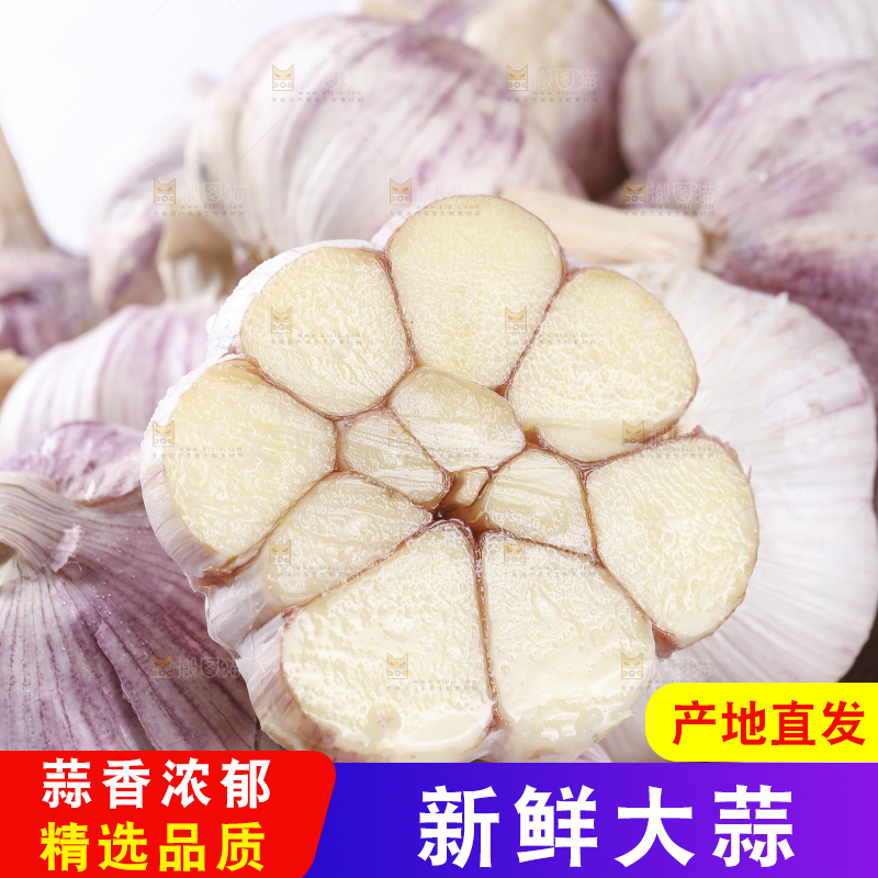 白底上的紫皮干大蒜