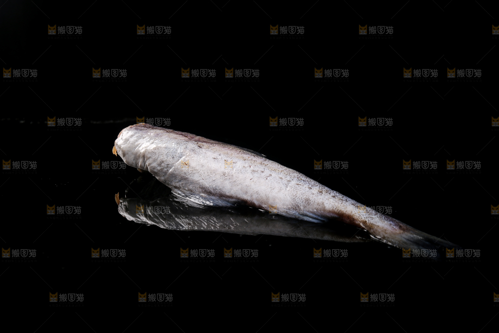 深底上的鳕鱼