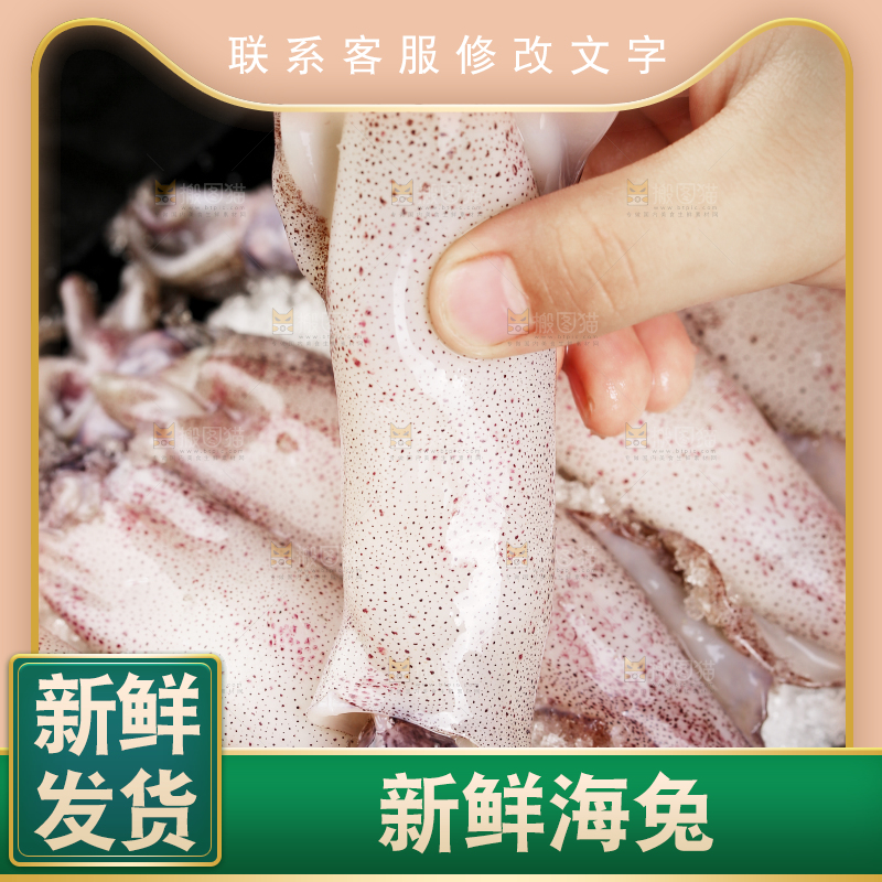 深底上的海兔