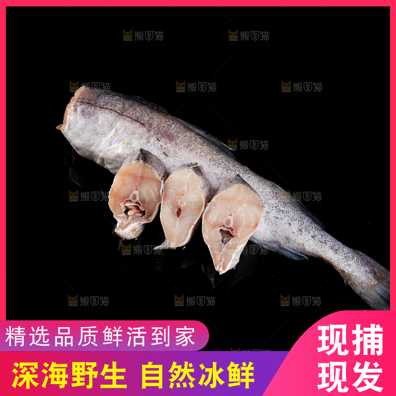 深底上的鳕鱼