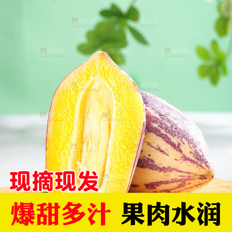 浅底上的民勤人参果
