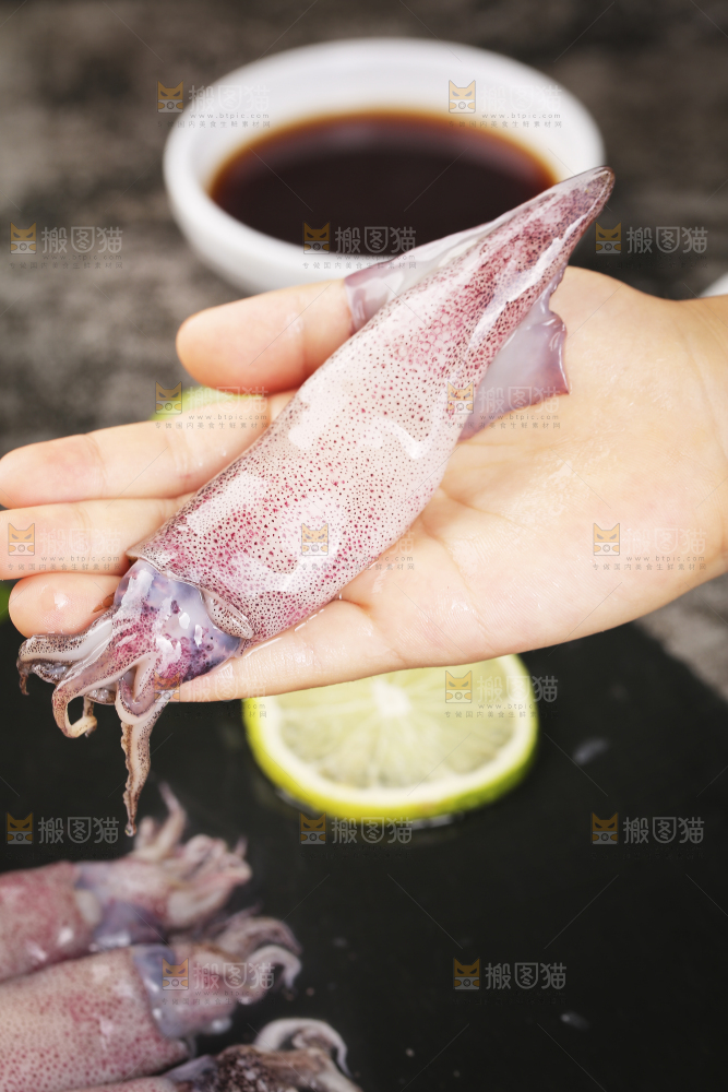 深底上的海兔