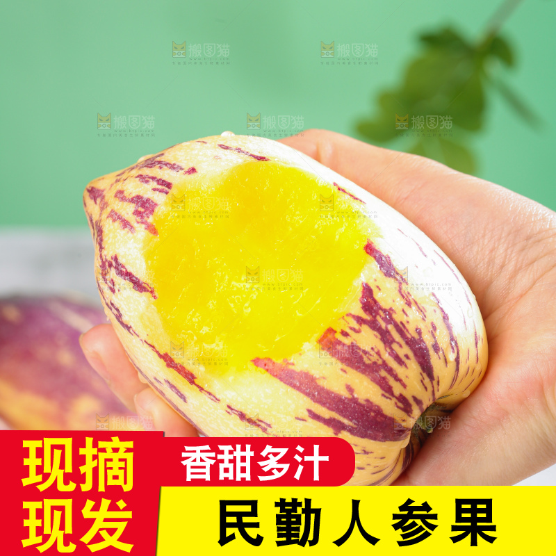 浅底上的民勤人参果