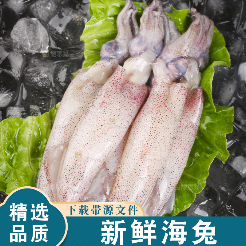 深底上的海兔