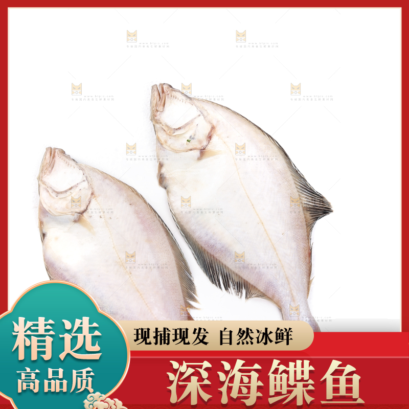 白底上的鲽鱼