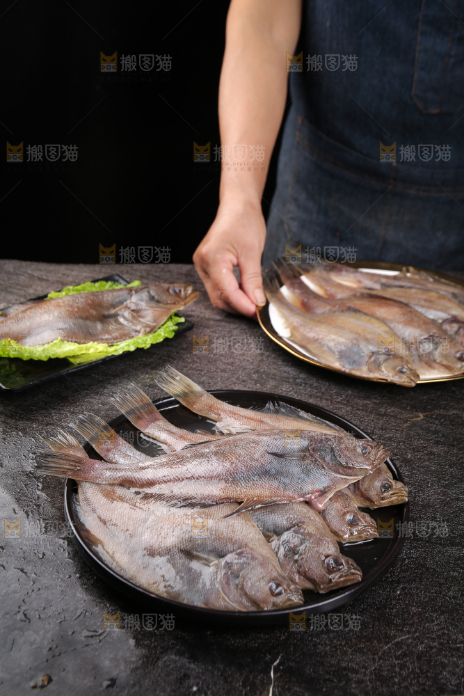 深底上的鲽鱼