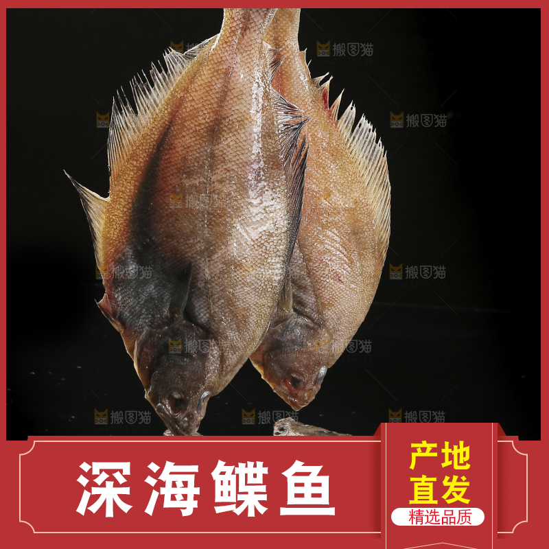 深底上的鲽鱼