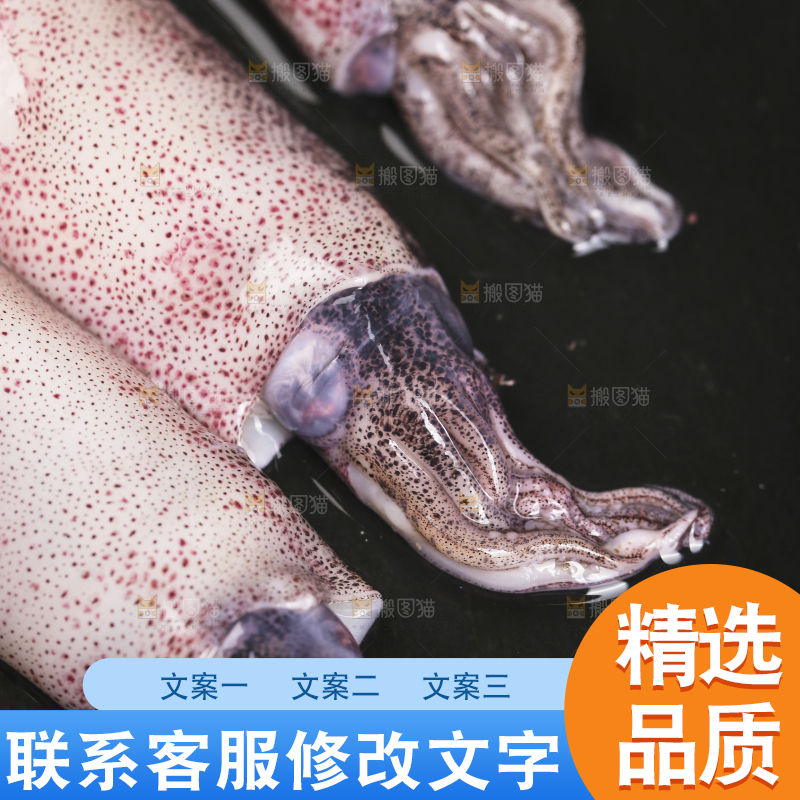 深底上的海兔