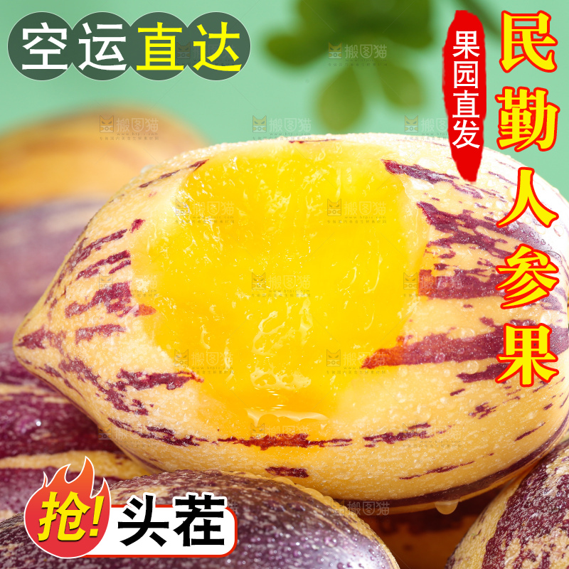 浅底上的民勤人参果