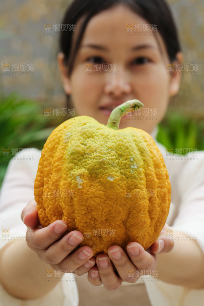 手里拿着香橼果